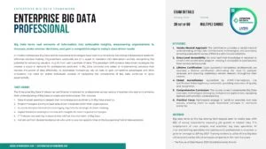 Enterprise Big Data Professional Brochure