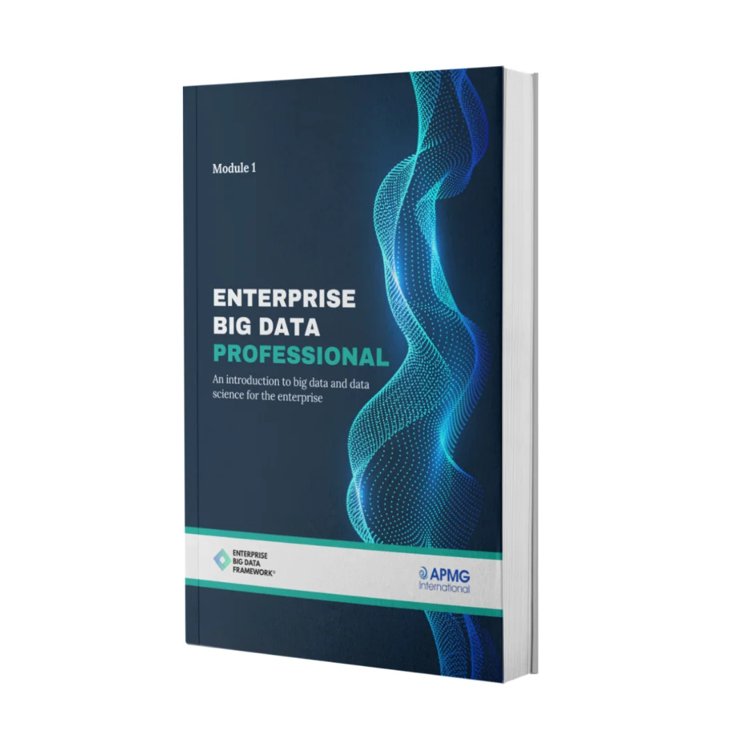 Enterprise Big Data Professional Official Guide